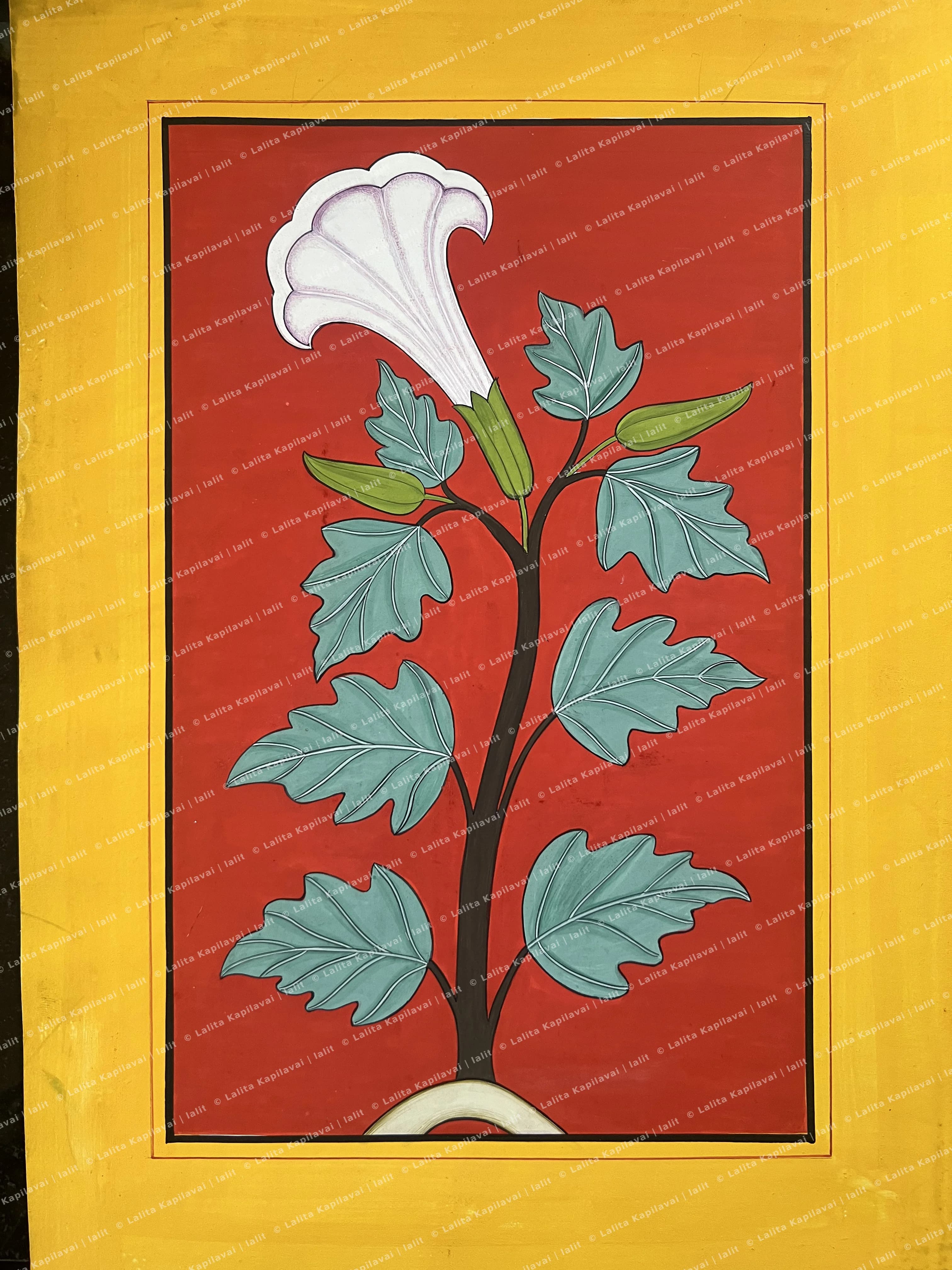 Datura Plant Study