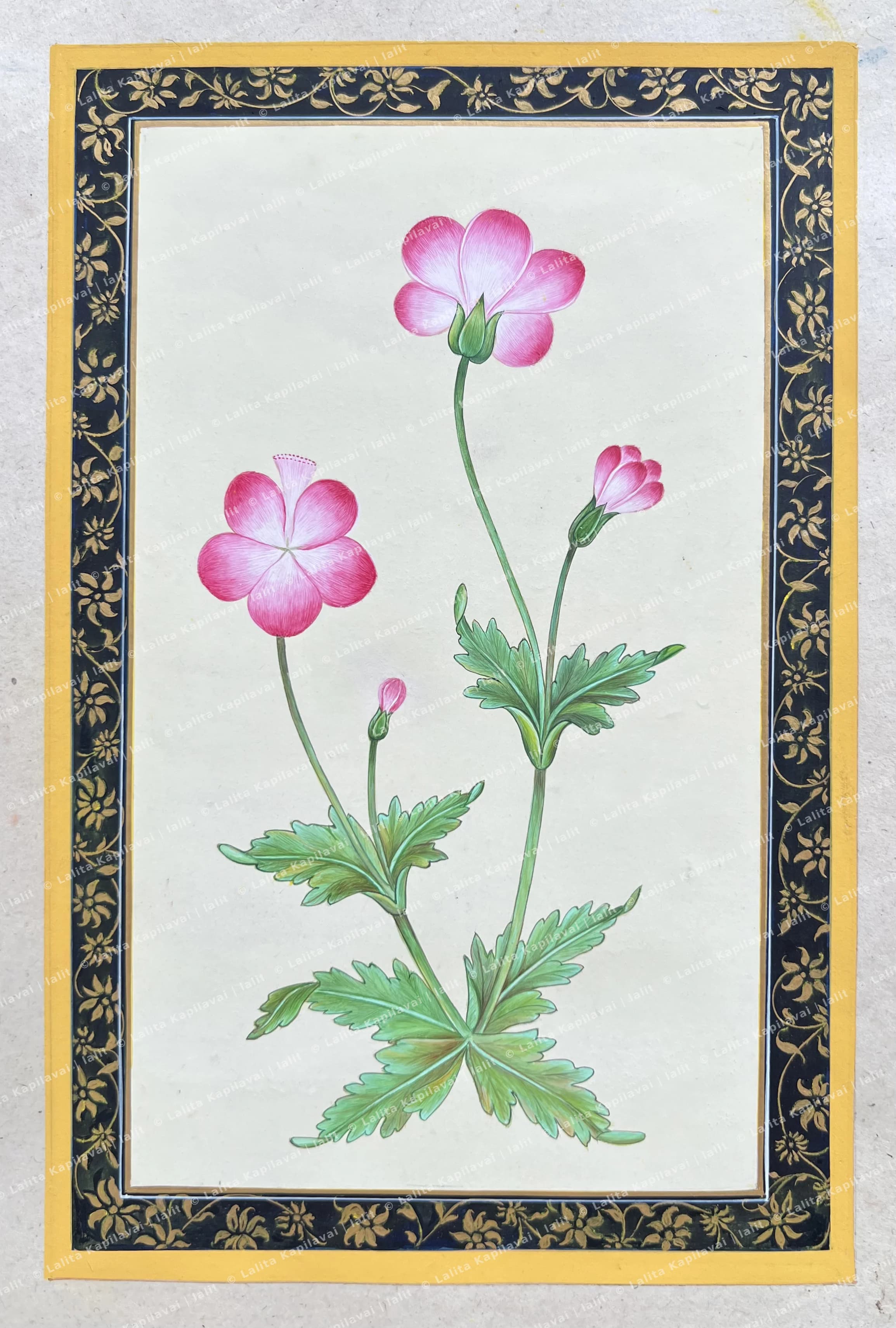 Mughal flowers study