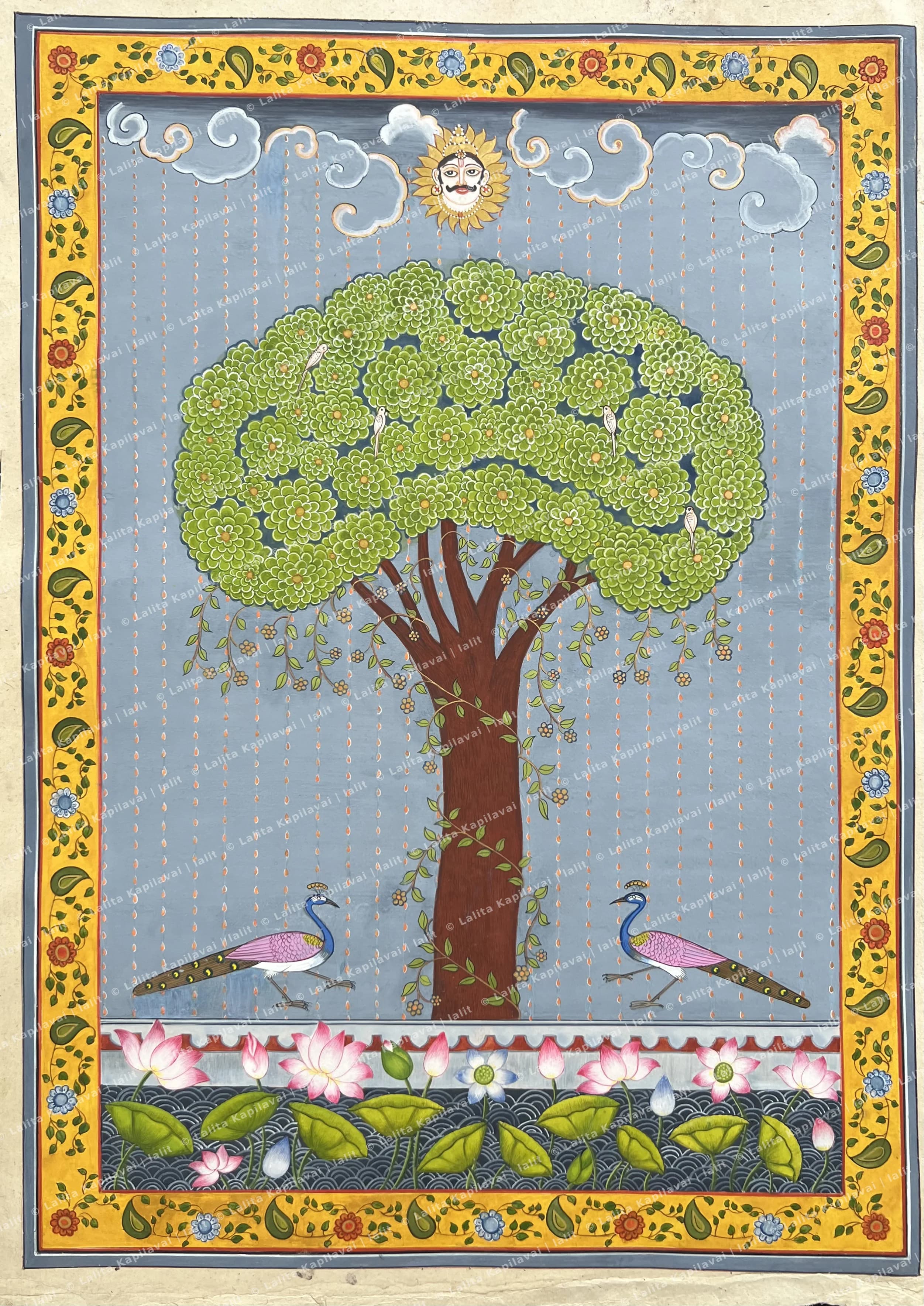 Kadamba Tree2