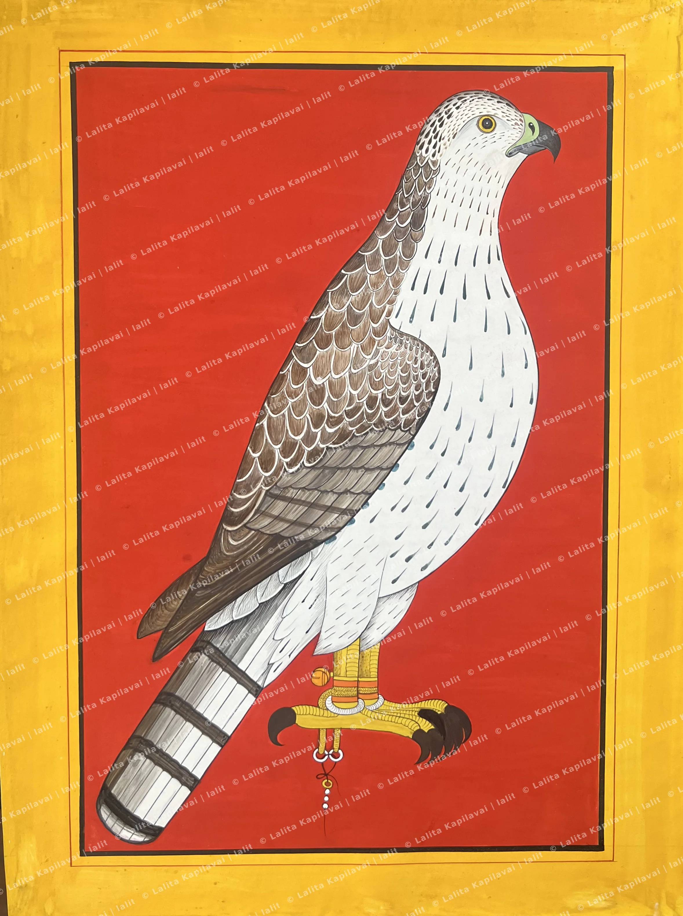 Lannor Falcon, attributed to artist Nainasukh
